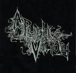 A Pyrrhic Victory : A Pyrrhic Victory